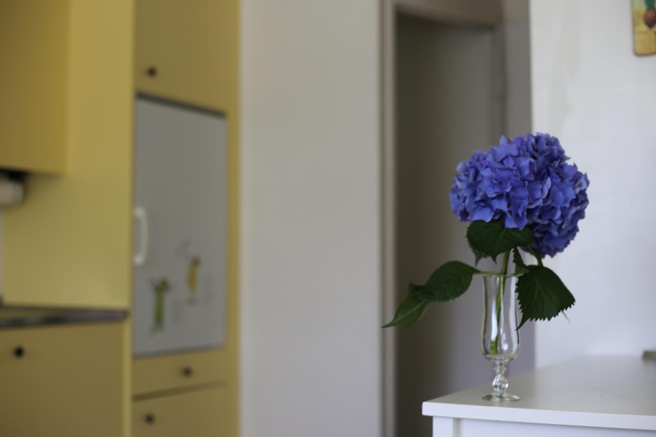 Sementina Casa Scerina 아파트 외부 사진