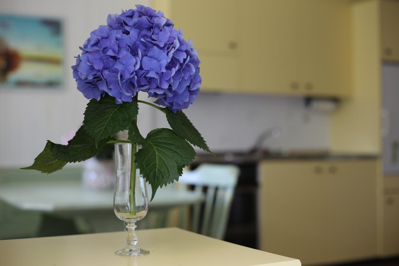 Sementina Casa Scerina 아파트 외부 사진