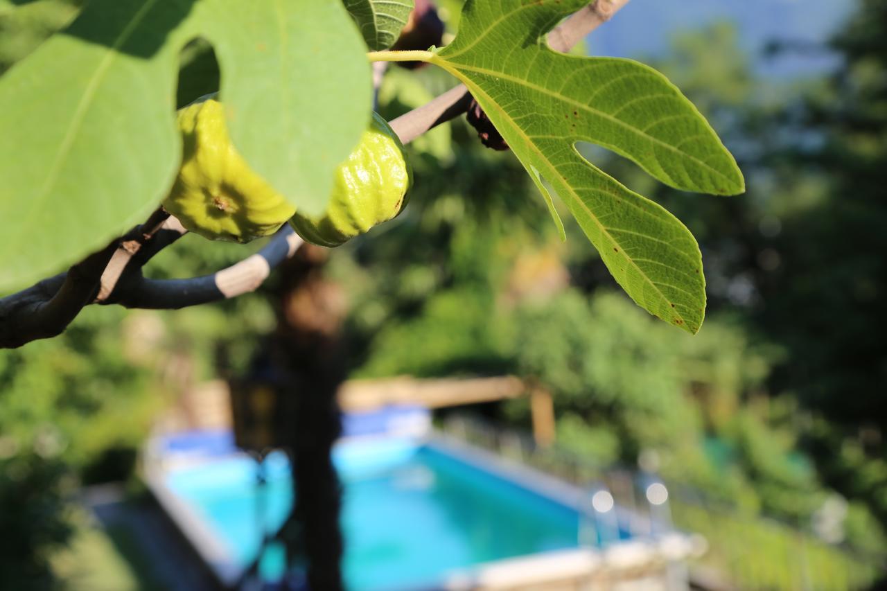 Sementina Casa Scerina 아파트 외부 사진